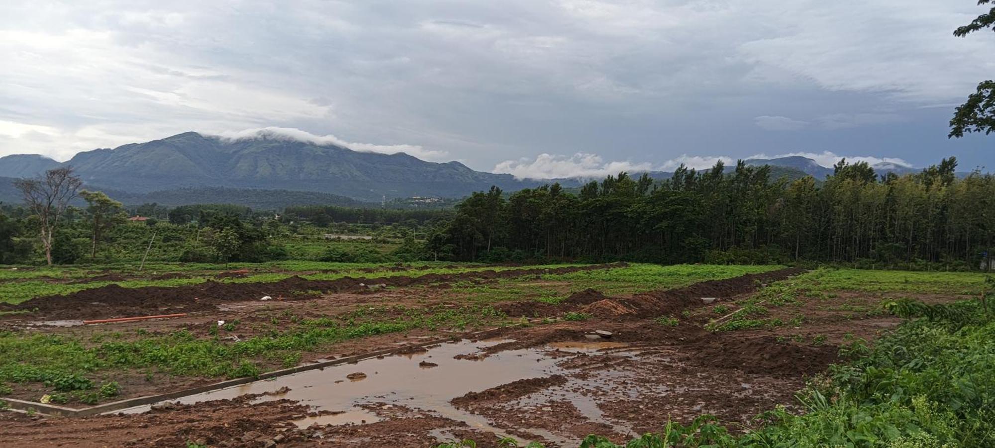 Malgudi Mane Homestay Chikmagalūr Exteriér fotografie