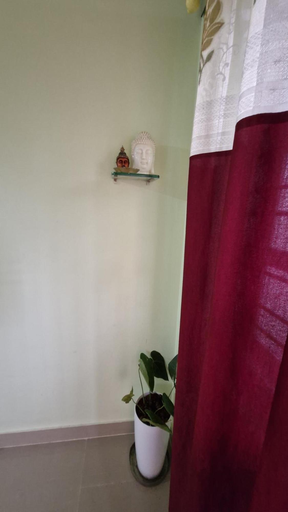 Malgudi Mane Homestay Chikmagalūr Exteriér fotografie