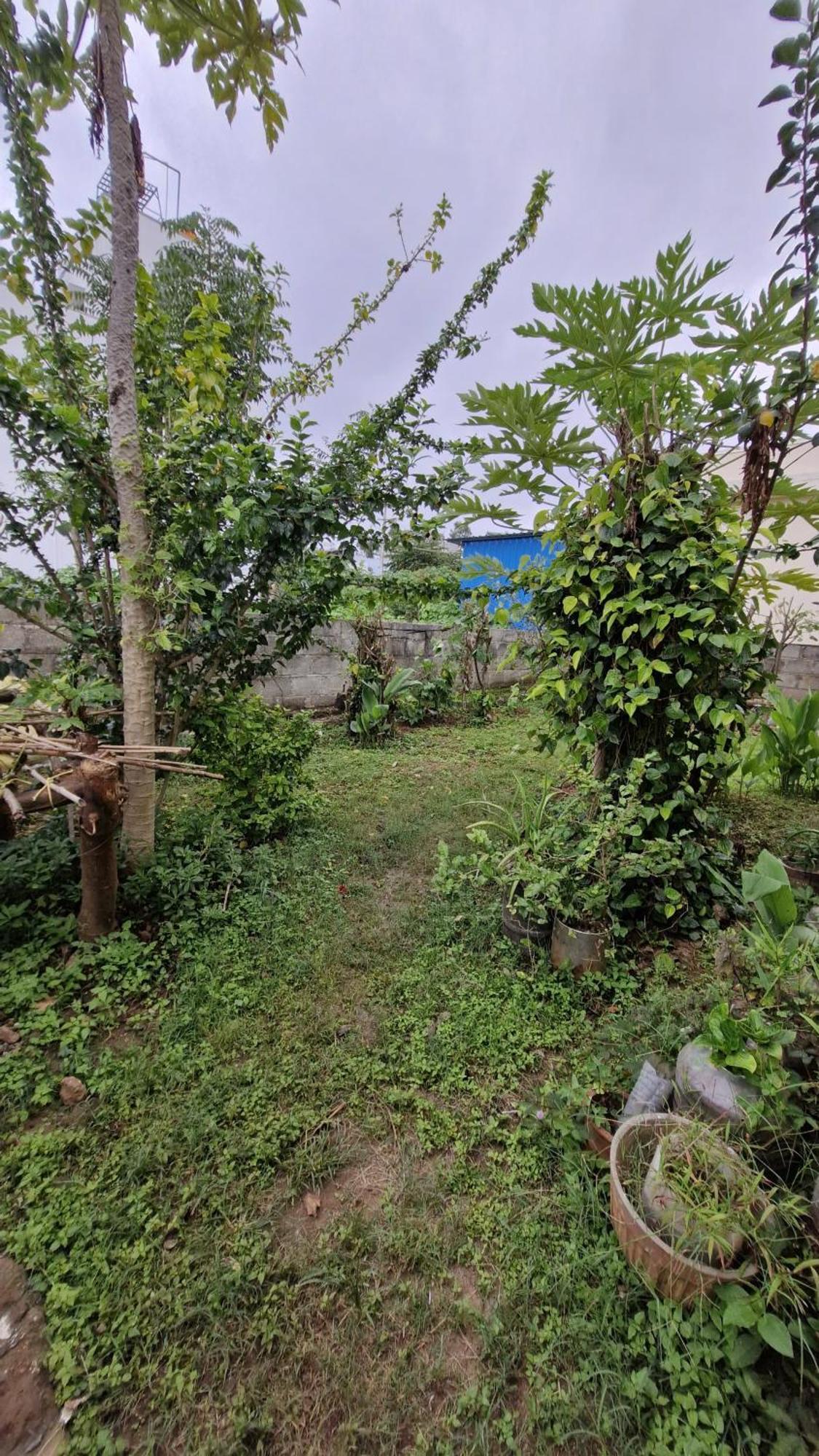 Malgudi Mane Homestay Chikmagalūr Exteriér fotografie